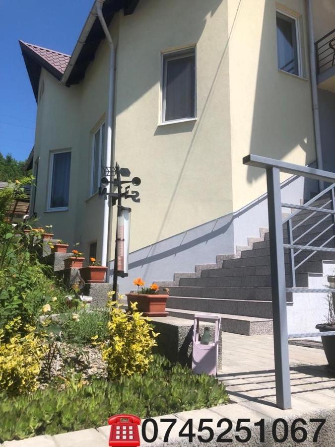 Casa Alessias 호텔 Vişeu de Sus 외부 사진