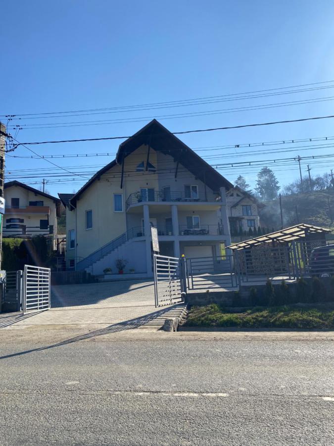 Casa Alessias 호텔 Vişeu de Sus 외부 사진